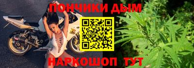 индика Ирбит