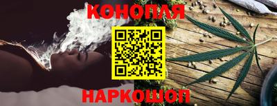 индика Ирбит