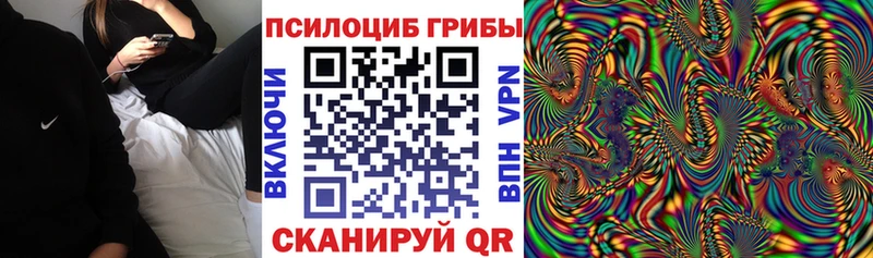 закладка  Рузаевка  Псилоцибиновые грибы Psilocybe 