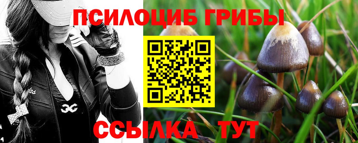 Псилоцибиновые грибы Cubensis  Вход с VPN  Рузаевка 